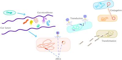 A novel therapeutic concern: Antibiotic resistance genes in common chronic diseases